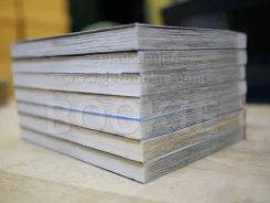 มายฮีโร่ อคาเดเมีย My Hero Academia เล่ม 1-7 รูปที่ 3