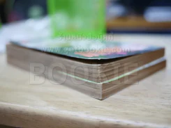 เจ้าพ่อ เล่ม 1-2 - อิเคงามิ เรียวอิจิ รูปที่ 3