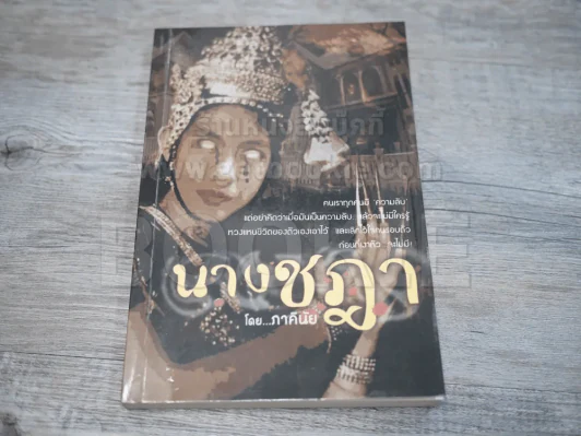 นางชฎา (นิยาย) - ภาคินัย รูปที่ 1