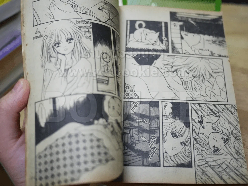 ขอของฉันคืน รูปที่ 2