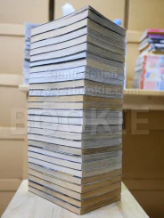 แขนกลคนแปรธาตุ 27 เล่มจบ รูปที่ 3