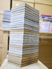 แขนกลคนแปรธาตุ 27 เล่มจบ รูปที่ 4