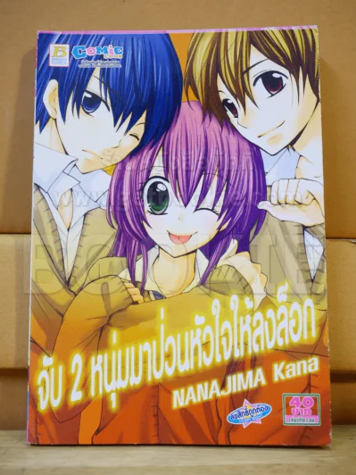 จับ 2 หนุ่มมาป่วนหัวใจให้ลงล็อก รูปที่ 1