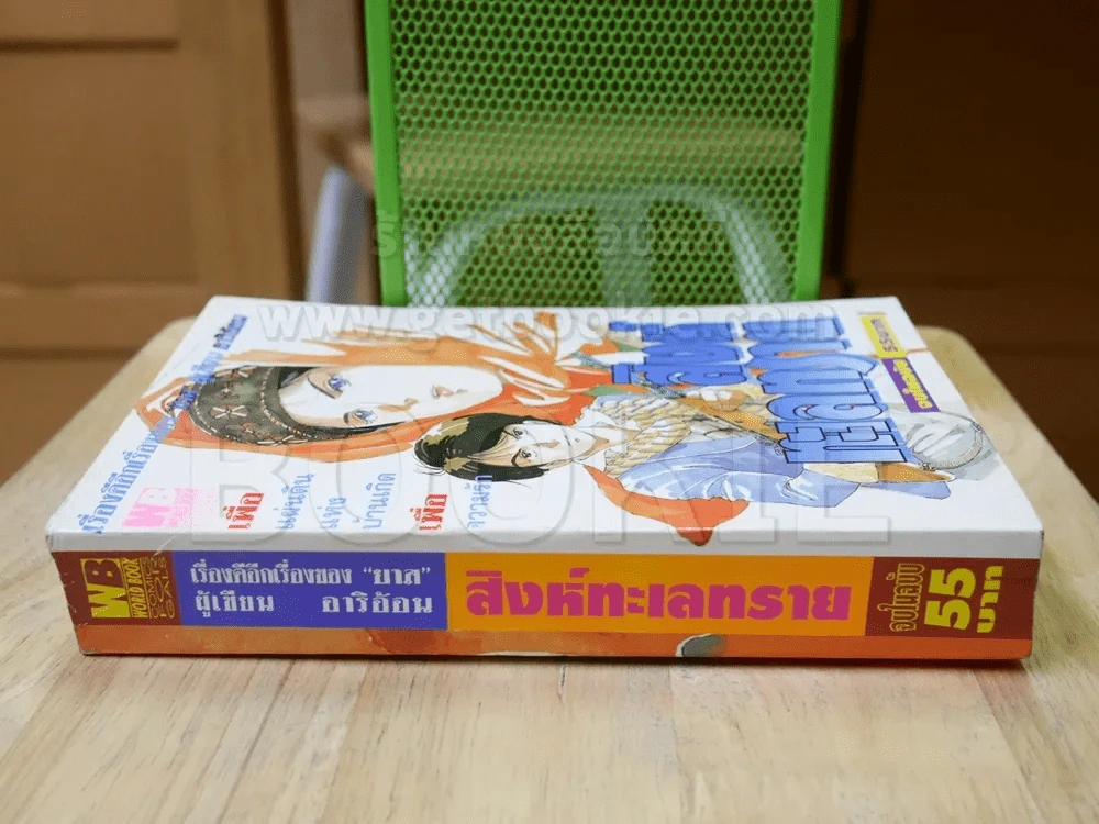 สิงห์ทะเลทราย (ผู้เขียนอาริอ้อน) รูปที่ 2