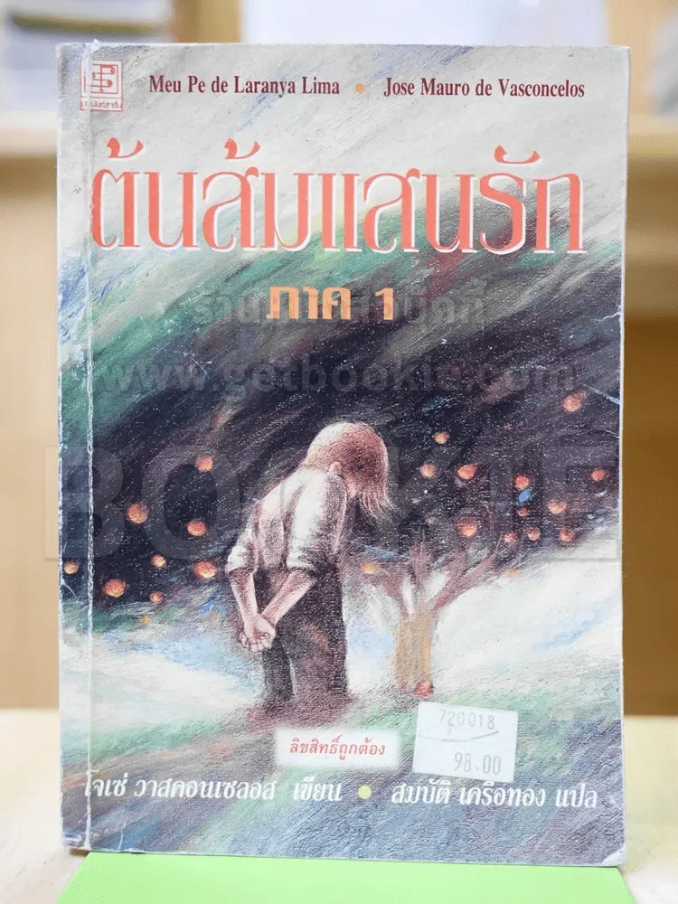ต้นส้มแสนรัก ภาค 1 รูปที่ 1