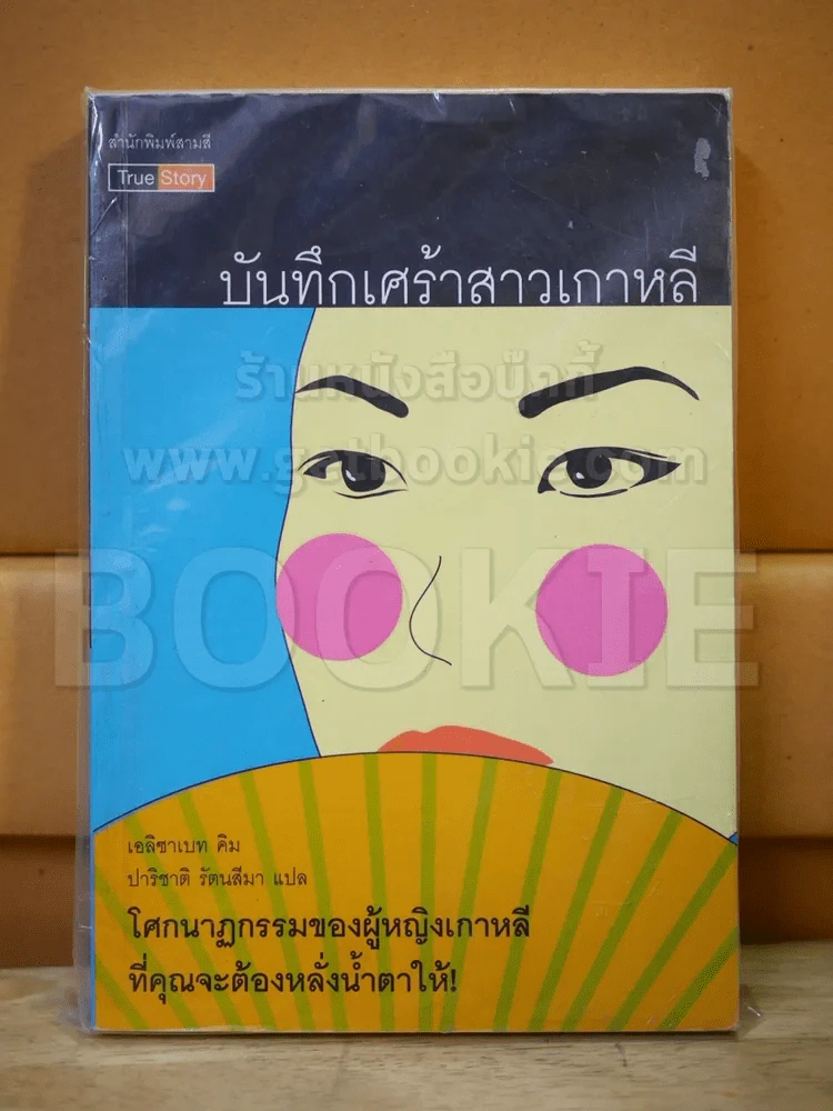 บันทึกเศร้าสาวเกาหลี รูปที่ 1