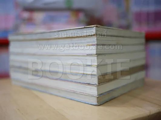 ดิจิทัลเลดี้ ChoBits 8 เล่มจบ Clamp รูปที่ 3
