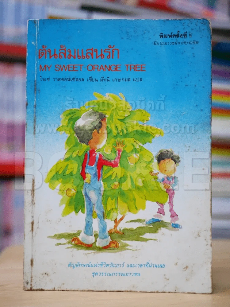 ต้นส้มแสนรัก รูปที่ 1