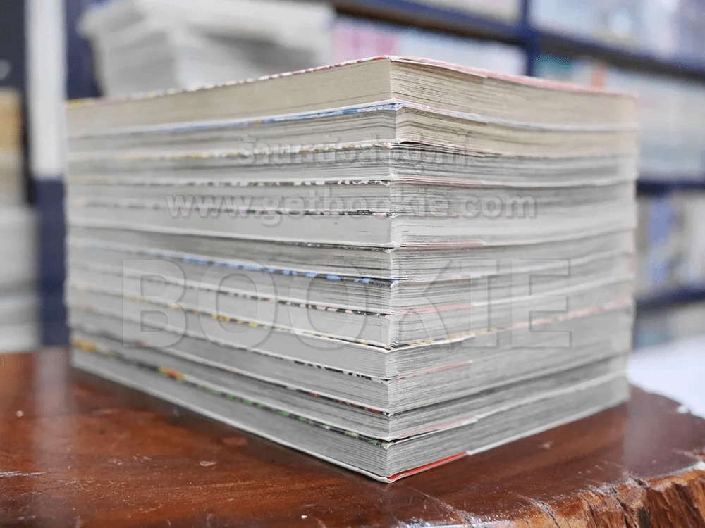 หัวใจไร้เงารัก 12 เล่มจบ รูปที่ 3