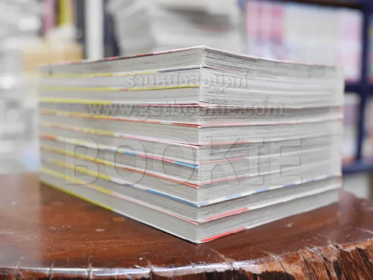 กี่หมื่นไมล์หัวใจยังไปถึง 10 เล่มจบ รูปที่ 3