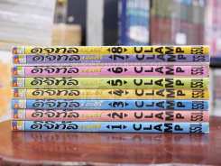 ดิจิทัลเลดี้ ChoBits 8 เล่มจบ Clamp รูปที่ 2