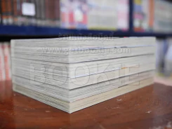 สงครามดาบศักดิ์สิทธิ์ เล่ม 1-6 รูปที่ 4