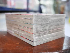 ก้าวย่างบนดอกกุหลาบ 9 เล่มจบ (ขาดเล่ม 8-9) รูปที่ 3