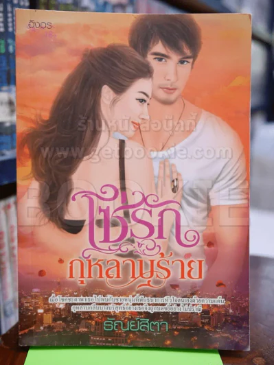 โซ่รักกุหลาบร้าย รูปที่ 1