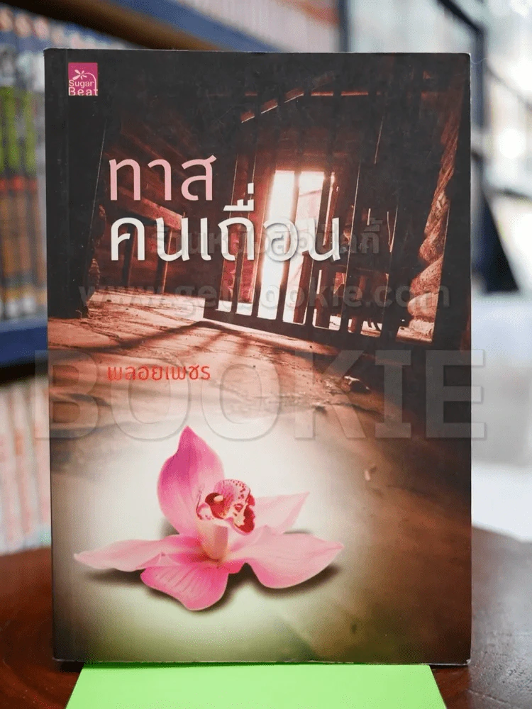 ทาสคนเถื่อน รูปที่ 1