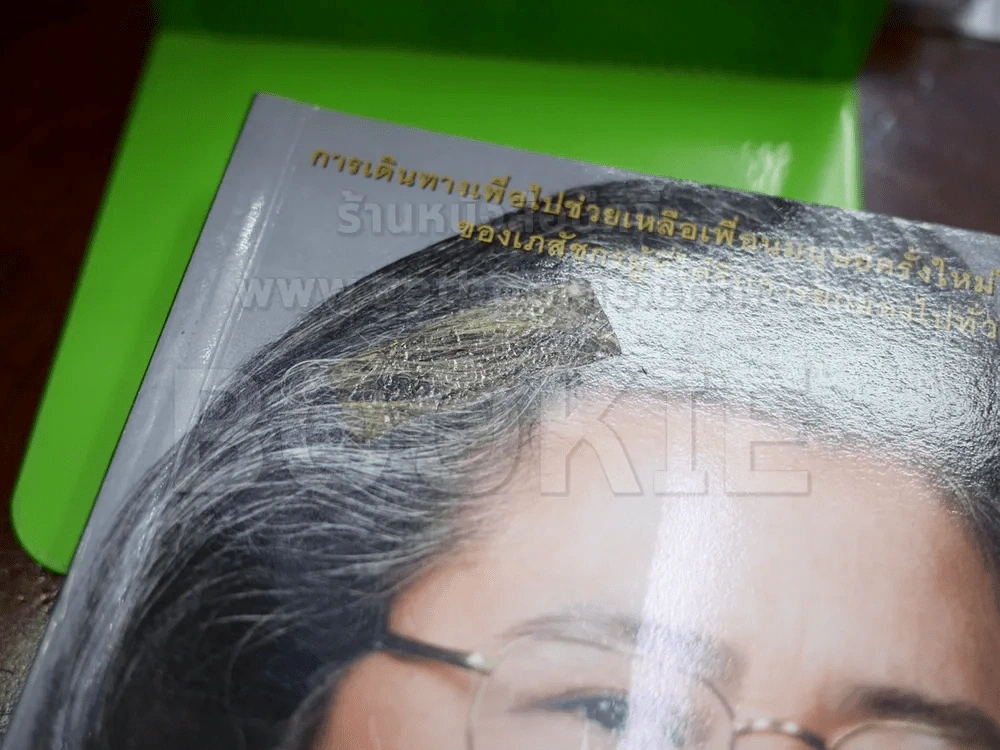 เภสัชกรยิปซี เล่ม 1-2 - ดร.กฤษณา ไกรสินธุ์ รูปที่ 2
