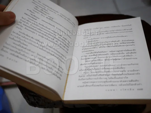 หลงไฟ - กฤษณา อโศกสิน (หน้าแบะ) รูปที่ 2