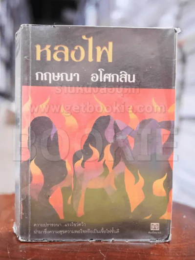 หลงไฟ - กฤษณา อโศกสิน (หน้าแบะ) รูปที่ 1