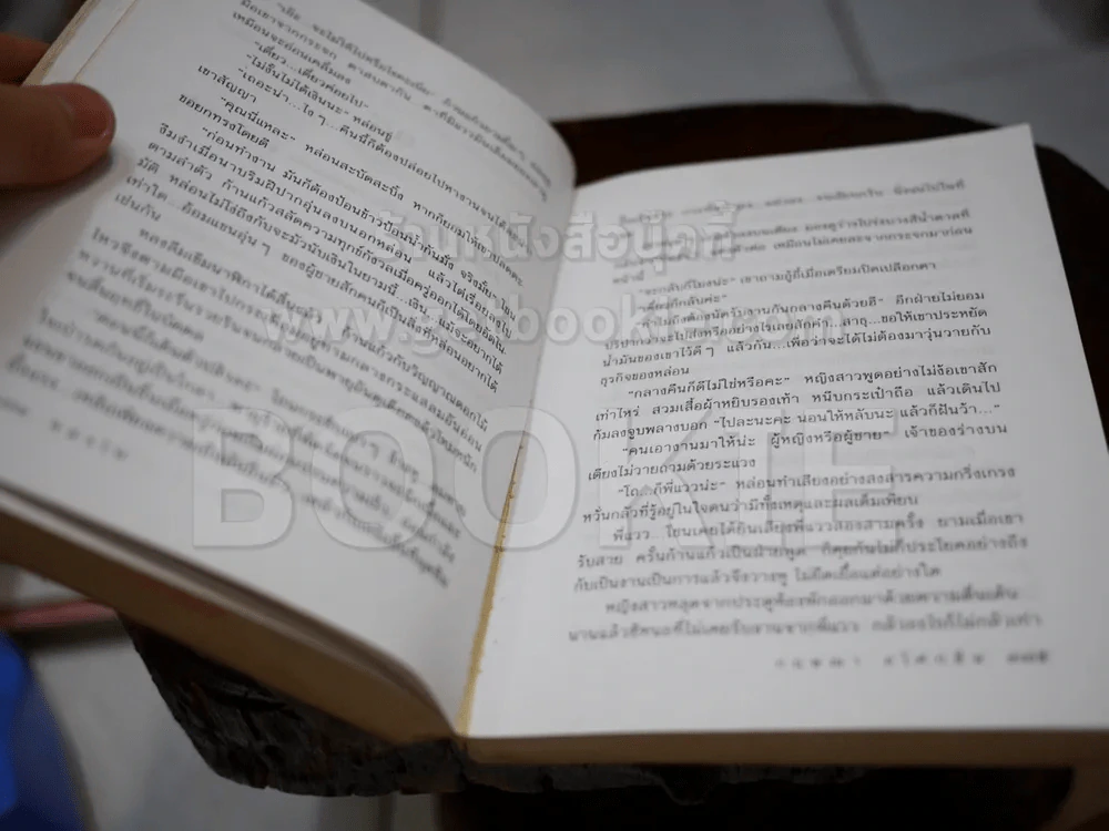 หลงไฟ - กฤษณา อโศกสิน (หน้าแบะ) รูปที่ 2