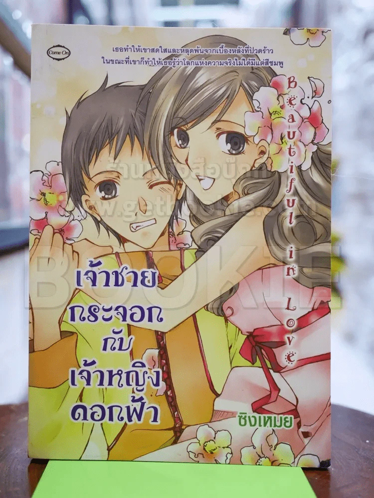 เจ้าชายกระจอกกับเจ้าหญิงดอกฟ้า รูปที่ 1