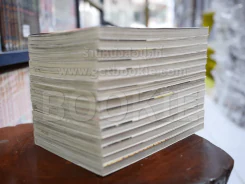 หนุ่มหล่อเฟี้ยวแปลงโฉมสาว เล่ม 1-15 (สภาพดีมาก) รูปที่ 4