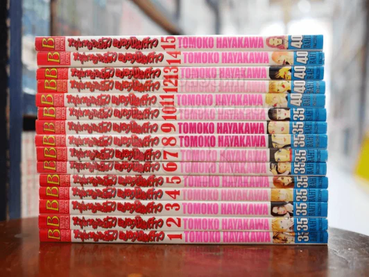 หนุ่มหล่อเฟี้ยวแปลงโฉมสาว เล่ม 1-15 (สภาพดีมาก) รูปที่ 2