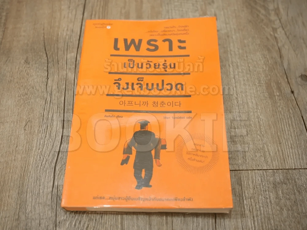 เพราะเป็นวัยรุ่นจึงเจ็บปวด รูปที่ 1