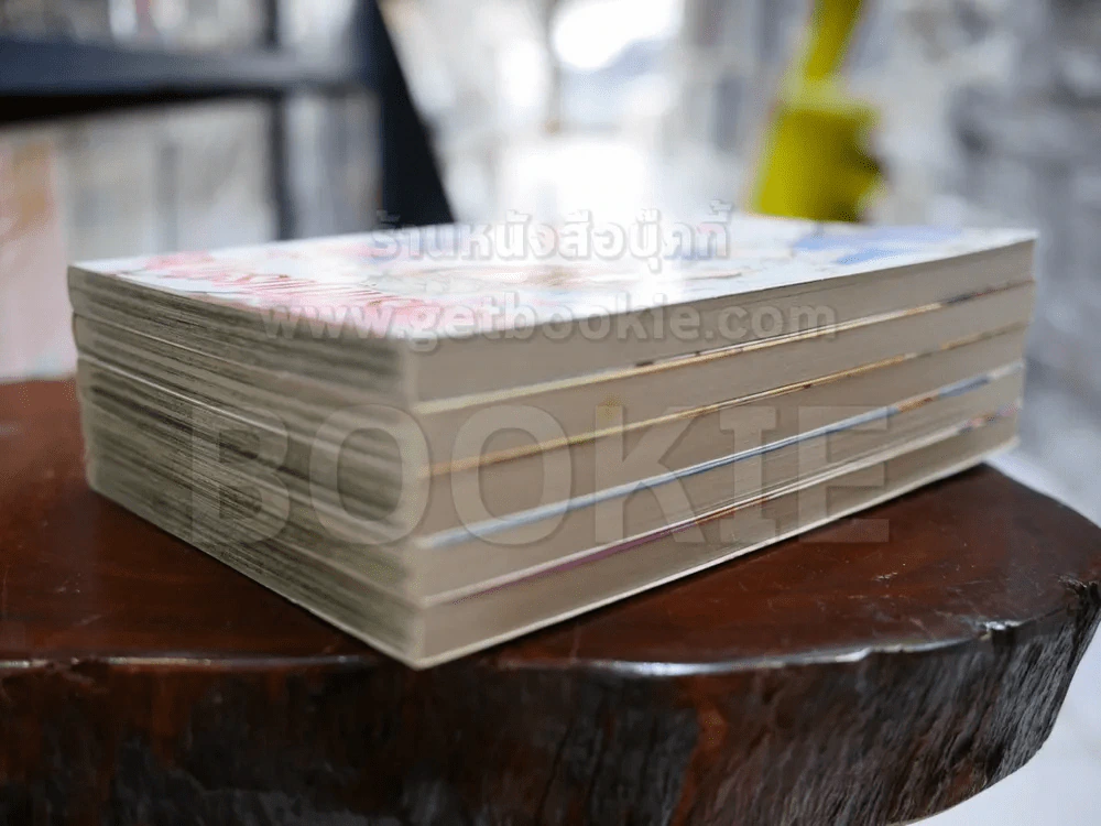 ลิขิตรักฟ้าประทาน 5 เล่มจบ รูปที่ 4