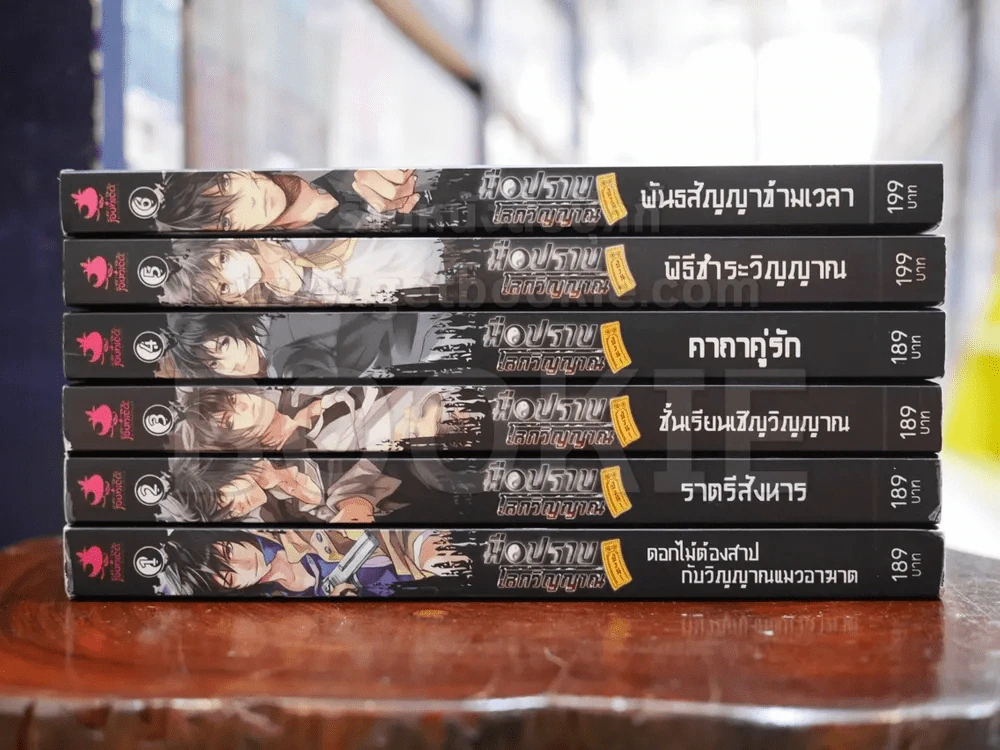 มือปราบโลกวิญญาณ 6 เล่มจบ รูปที่ 2