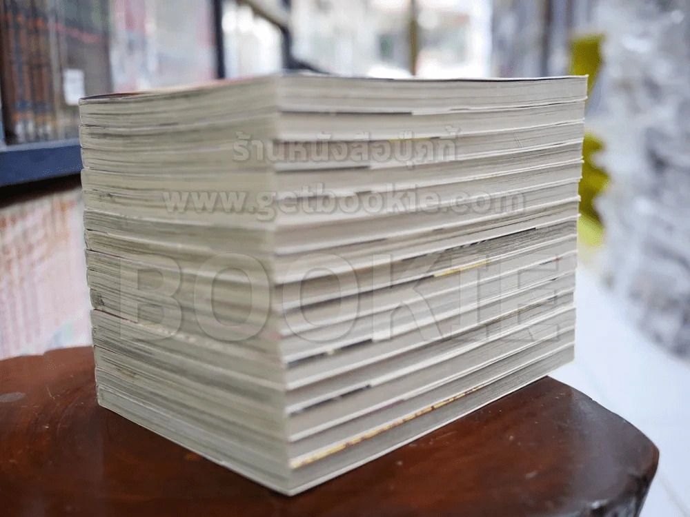 หนุ่มหล่อเฟี้ยวแปลงโฉมสาว เล่ม 1-15 (สภาพดีมาก) รูปที่ 4