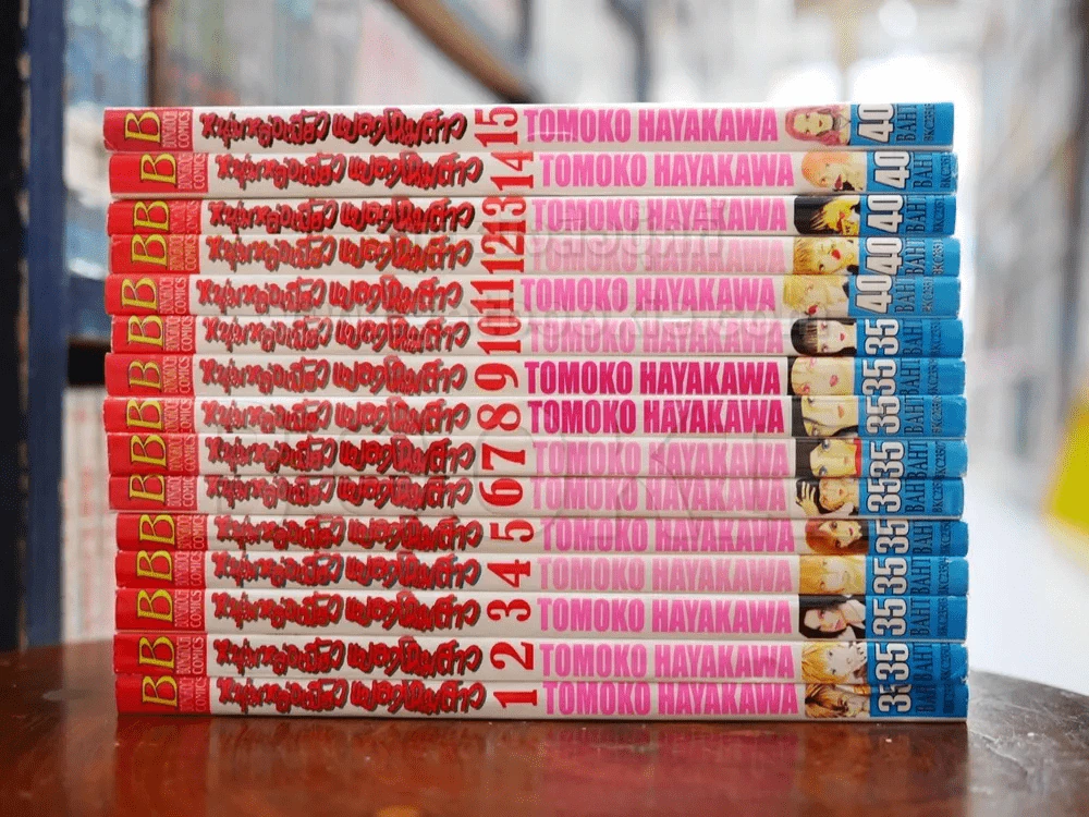หนุ่มหล่อเฟี้ยวแปลงโฉมสาว เล่ม 1-15 (สภาพดีมาก) รูปที่ 2