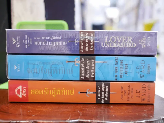 นิยายชุด ภราดรผู้พิทักษ์ 3 เล่ม พยัคฆ์สาวผู้พิทักษ์ + จอมใจผู้พิทักษ์ + ยอดรักผู้พิทักษ์ รูปที่ 2