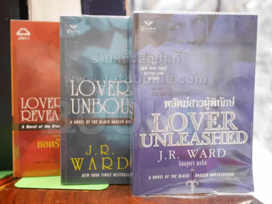 นิยายชุด ภราดรผู้พิทักษ์ 3 เล่ม พยัคฆ์สาวผู้พิทักษ์ + จอมใจผู้พิทักษ์ + ยอดรักผู้พิทักษ์ รูปที่ 1