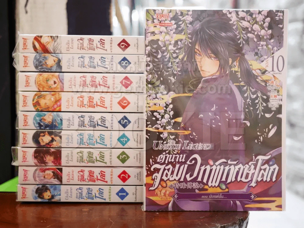 ตำนานเวทพิทักษ์โลก The Unique Legend 10 เล่มจบ รูปที่ 1