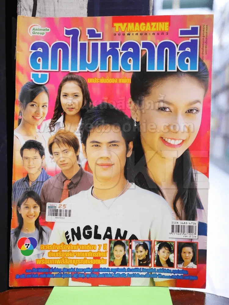 ลูกไม้หลากสี รูปที่ 1