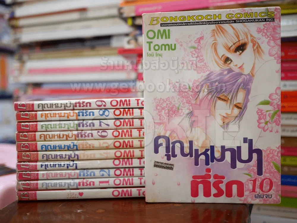 คุณหมาป่าที่รัก 10 เล่มจบ + ภาคพิเศษ เล่มเดียวจบ รูปที่ 1