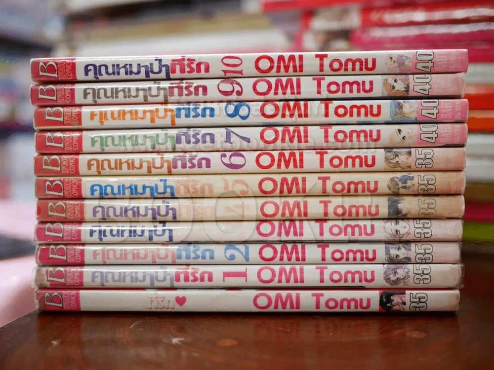 คุณหมาป่าที่รัก 10 เล่มจบ + ภาคพิเศษ เล่มเดียวจบ รูปที่ 2