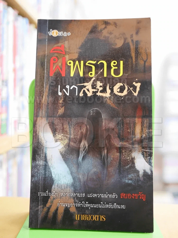 ผีพราย เงาสยอง รูปที่ 1