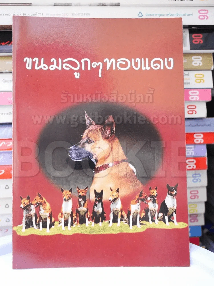 ขนมลูกๆทองแดง รูปที่ 1