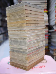 ล่าอสูรกาย 33 เล่มจบ (ขาดเล่ม 1-10) รูปที่ 4
