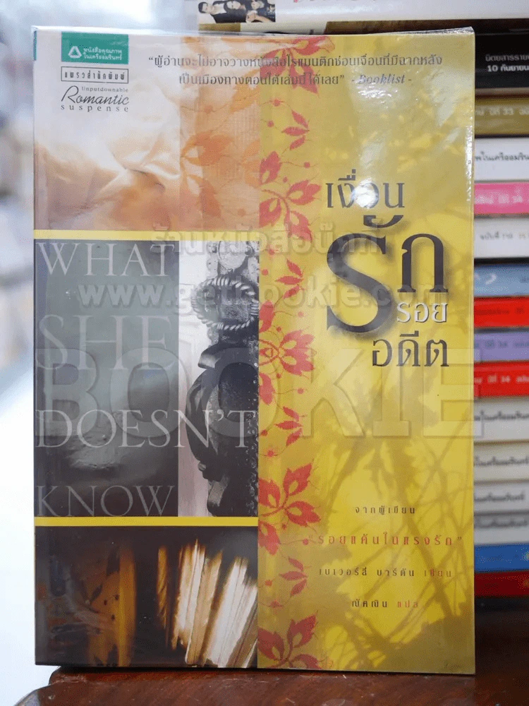 เงื่อนรักรอยอดีต รูปที่ 1