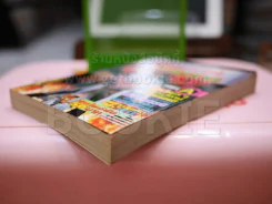 ศาสตราจารย์สติแตก Part A จบในฉบับ รูปที่ 4