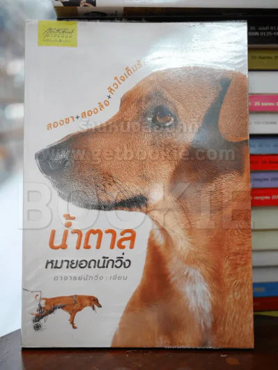น้ำตาล หมายอดนักวิ่ง รูปที่ 1
