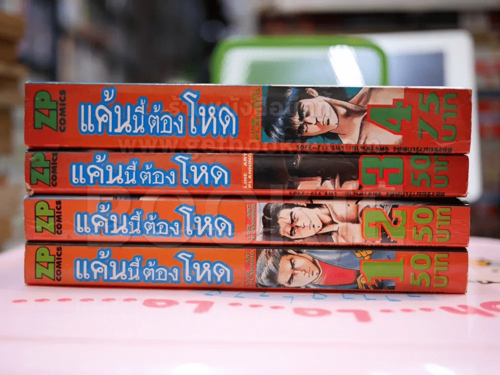 แค้นนี้ต้องโหด 4 เล่มจบ - Ikegami Ryoichi รูปที่ 2