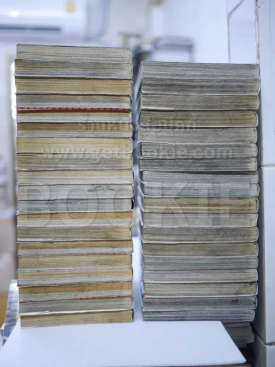 Berserk เล่ม 1-37 (สภาพดีมาก) รูปที่ 3