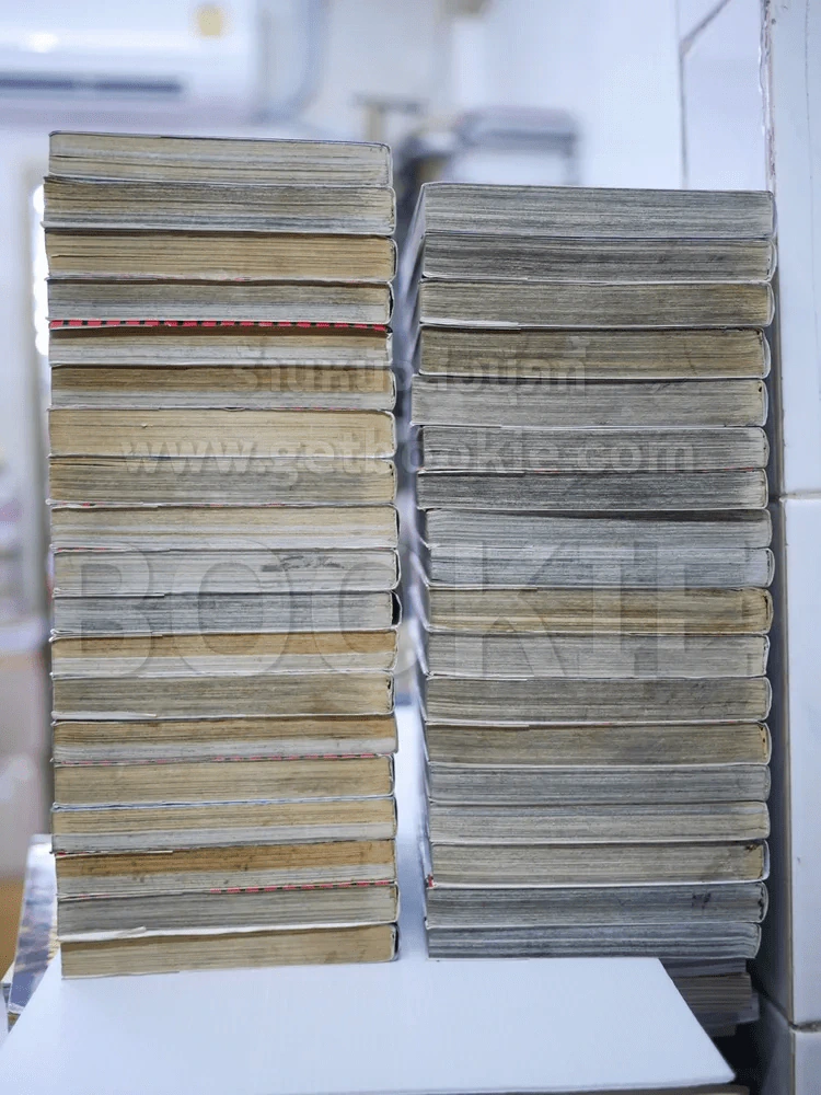 Berserk เล่ม 1-37 (สภาพดีมาก) รูปที่ 3