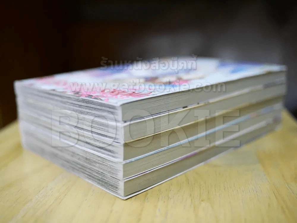 ลิขิตรักฟ้าประทาน 5 เล่มจบ รูปที่ 4