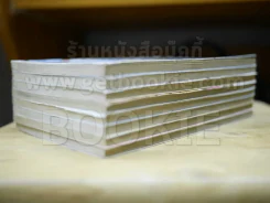 What's Michael? เหมียวไม่ธรรมดา 8 เล่มจบ รูปที่ 4