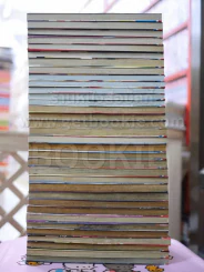 ป่าผี 34 เล่มจบ รูปที่ 4
