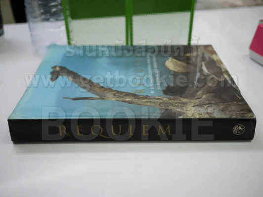 Requiem ภาพถ่ายสงครามเวียดนาม+อินโดนีเซีย (มี 1 หน้าติดสก๊อตเทปกันกระดาษขาด) รูปที่ 16
